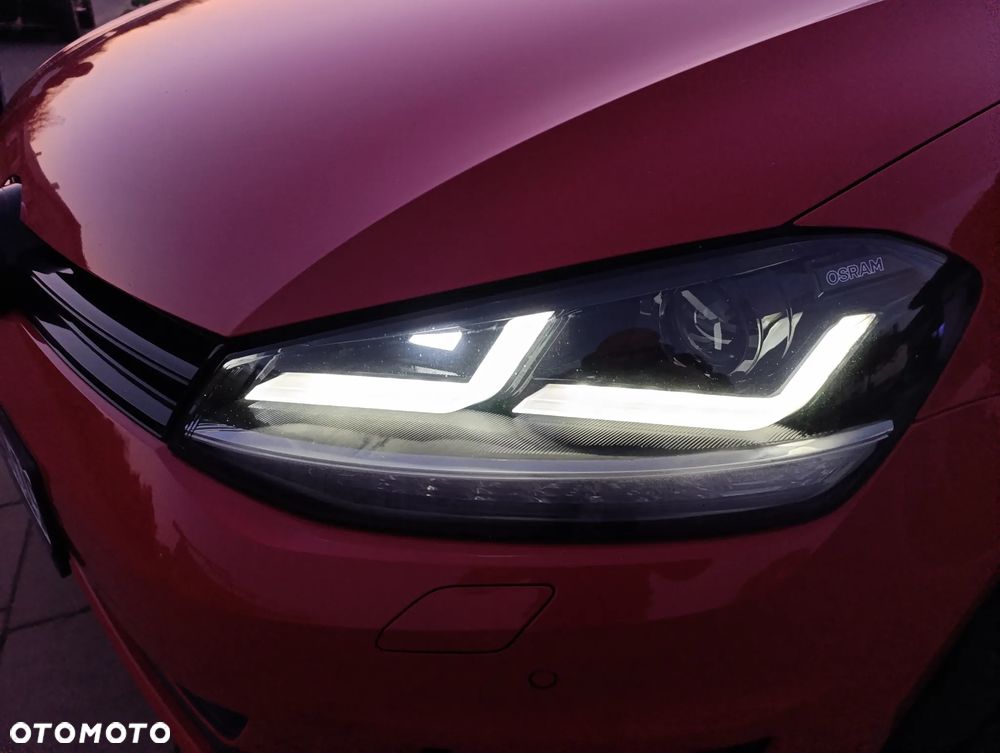 Volkswagen Golf - 21