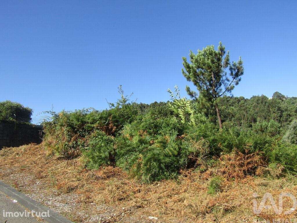 Terreno Agrícola em Sandim, Olival, Lever e Crestuma - Grande imagem: 2/15