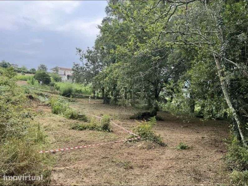 Terreno Rustico para venda - Grande imagem: 3/4