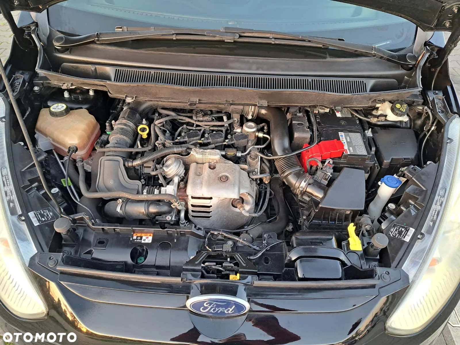 Ford B-MAX 1.0 EcoBoost Trend - 8