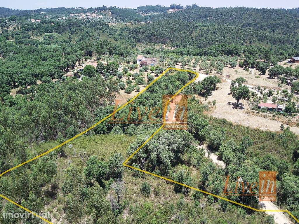Terreno Rústico com 11400m² em Tomar - Grande imagem: 3/7