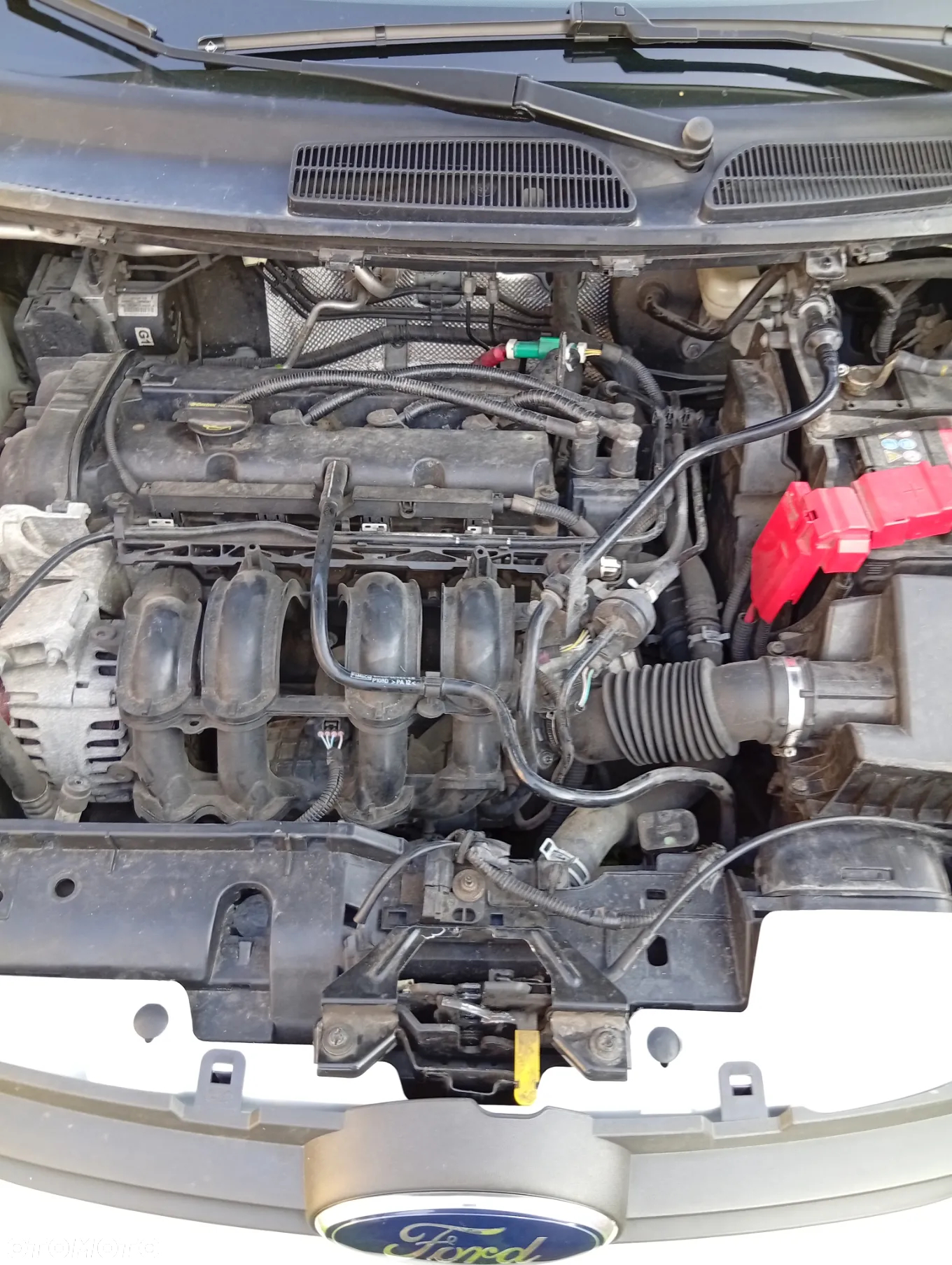 Ford Fiesta 1.25 Champions Edition - 36