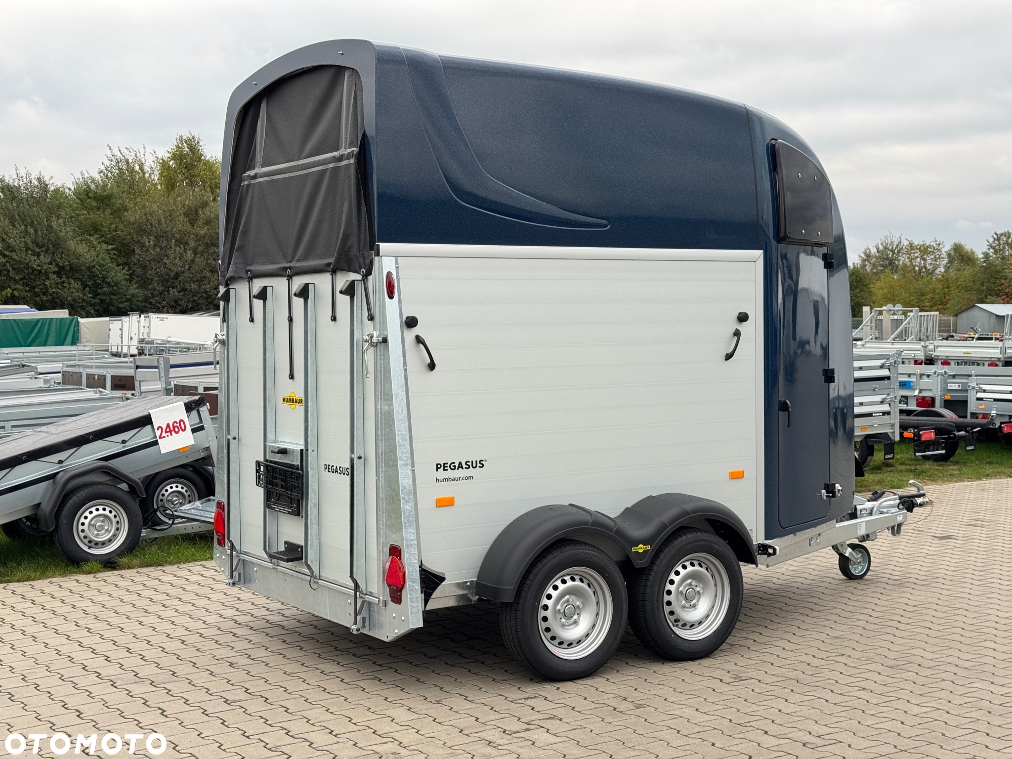 Humbaur Pegasus 2400 | siodlarnia, DMC 2400kg, przyczepa do przewozu 2 koni - 15