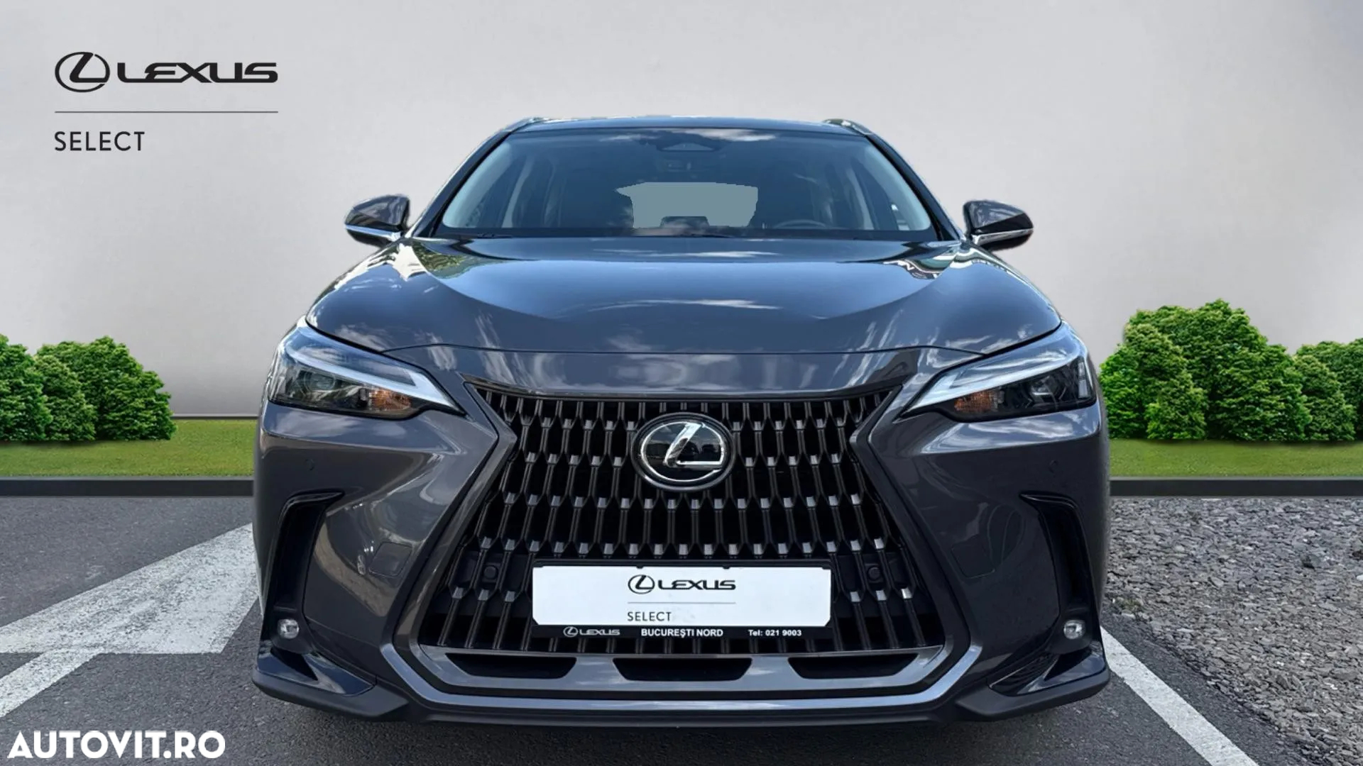 Lexus Seria NX 350h AWD CVT HEV Business - 2