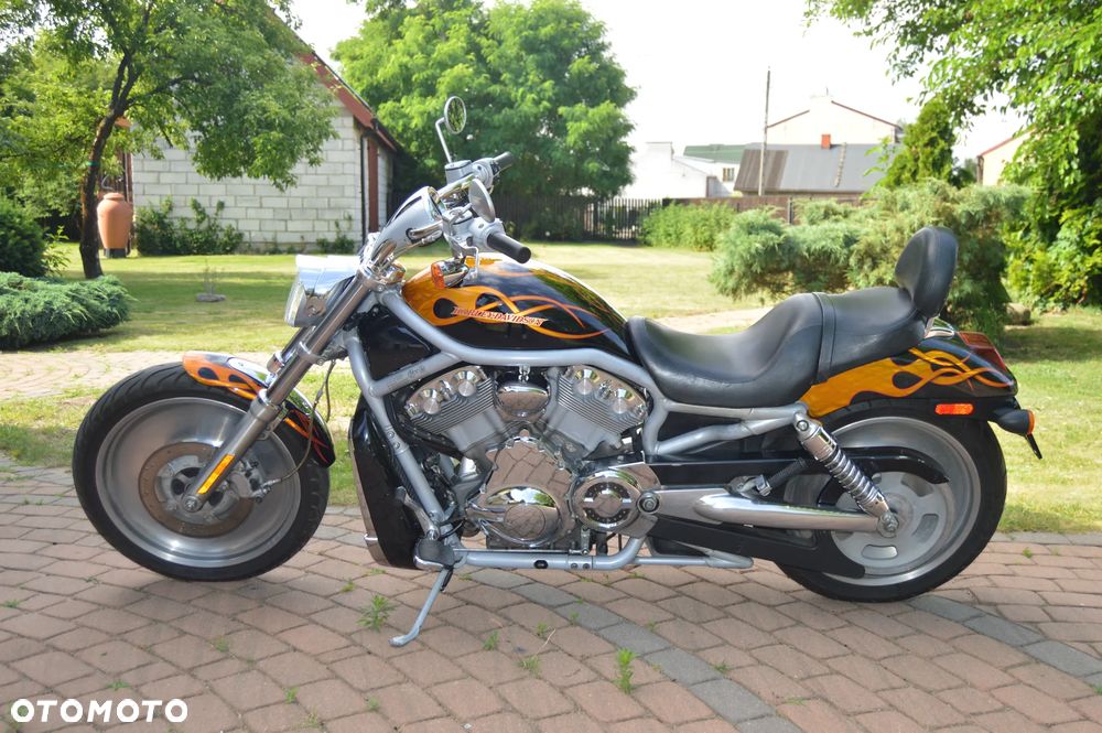 Harley-Davidson V-Rod Street Rod - 2