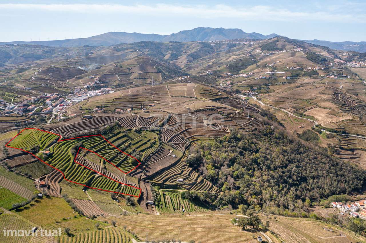 Terreno com 9 121 m2 situado em S. Marta de Penaguião - Grande imagem: 2/15