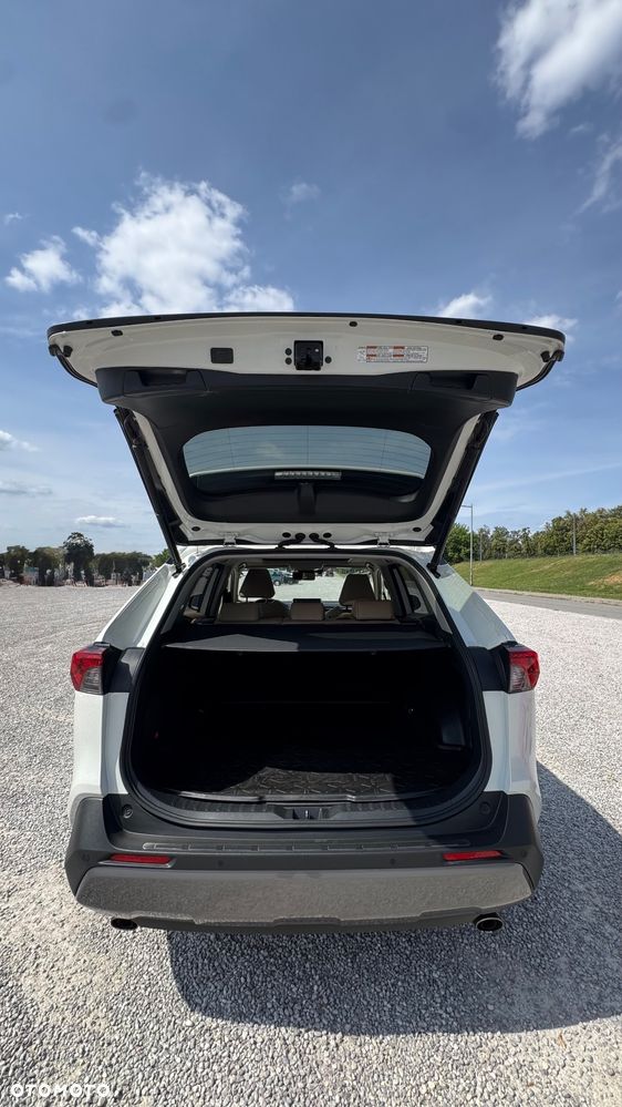 Toyota RAV4 2.5 Hybrid Executive 4x4 - 6