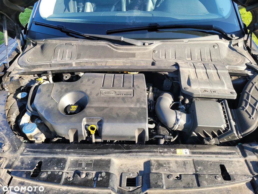 Land Rover Range Rover Evoque TD4 Black-Edition - 20