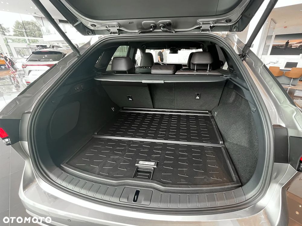 Lexus RX - 10