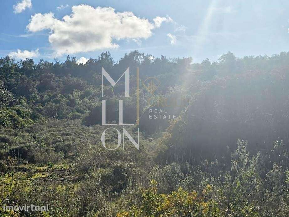 Terreno rústico com 4.000 m2 – Excelente oportunidade - Grande imagem: 3/7