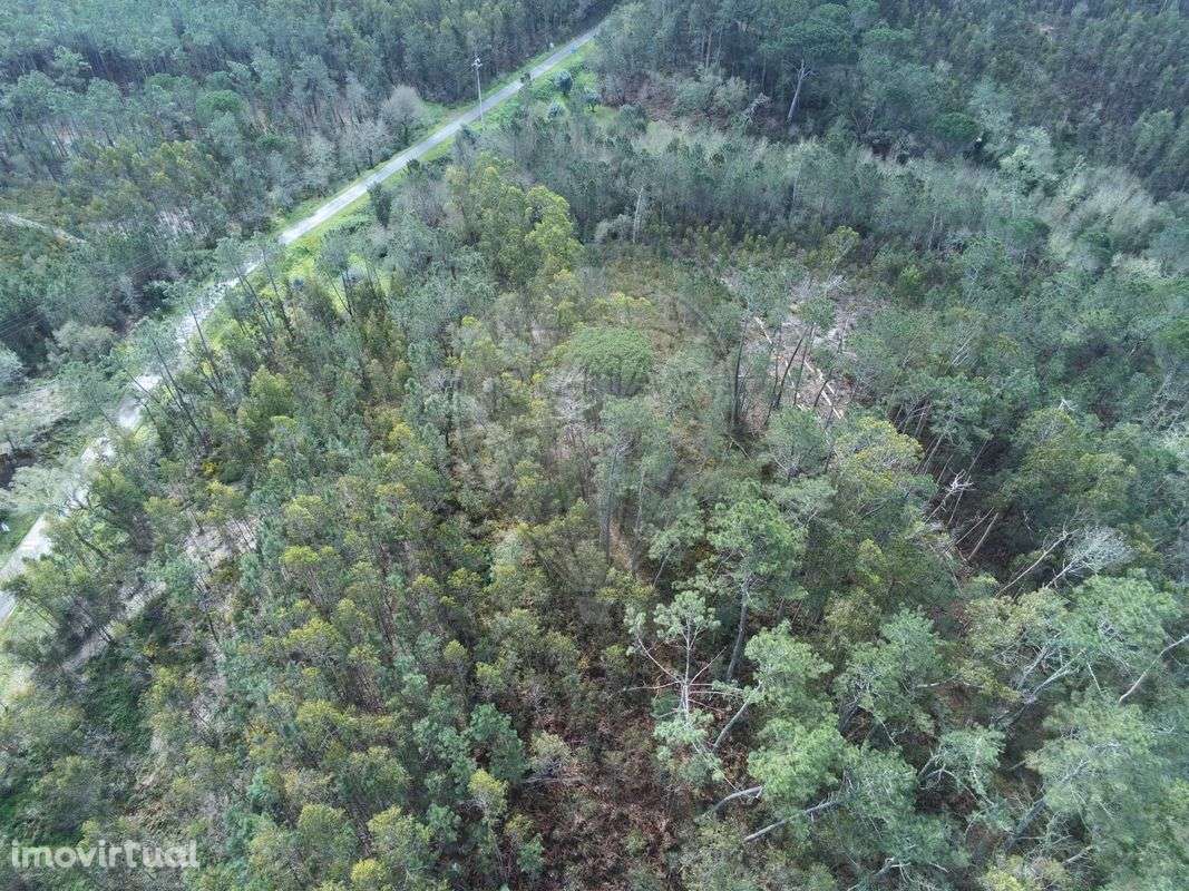 Terreno  para venda - Grande imagem: 2/3