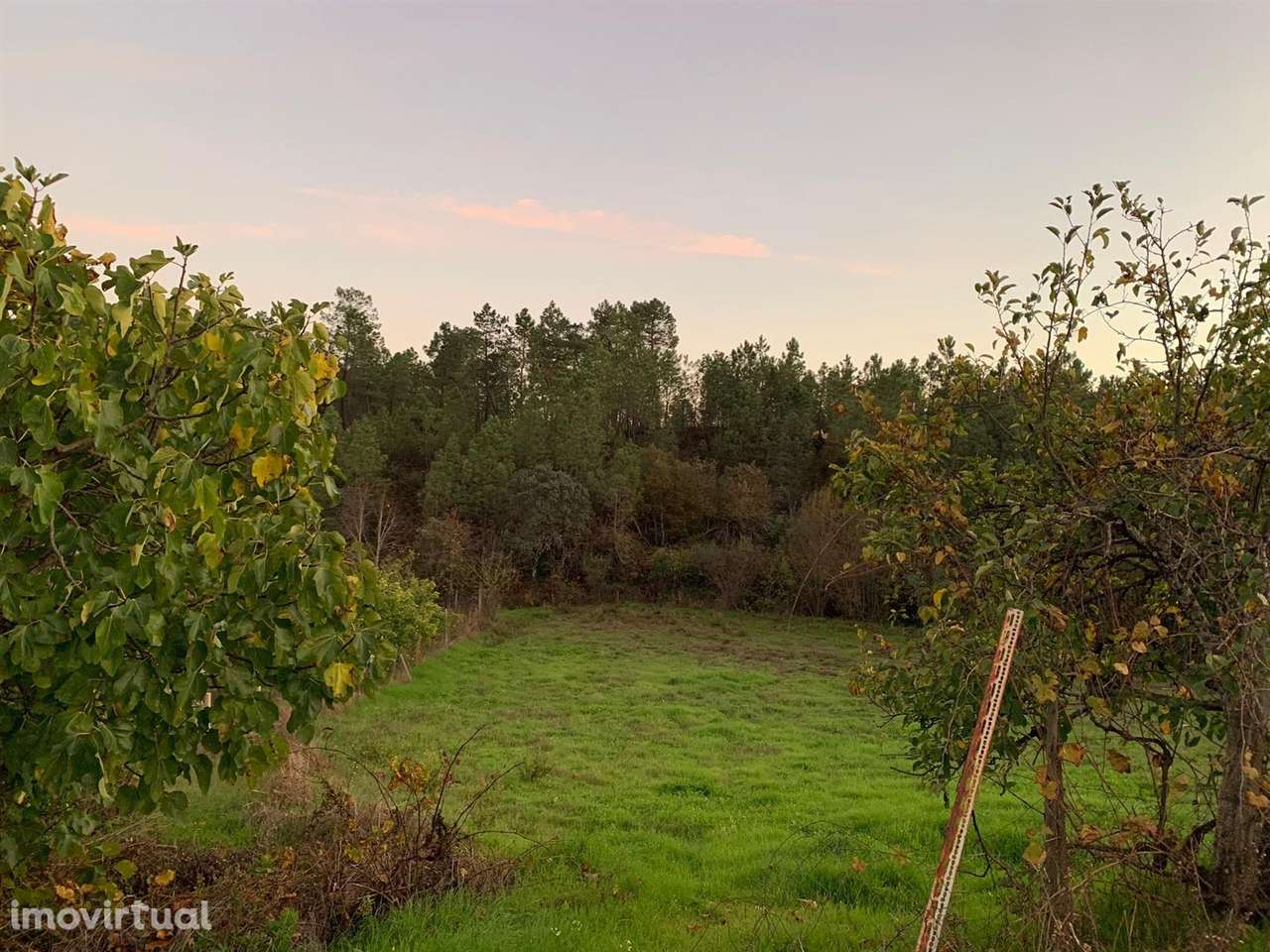 Quinta - Grande imagem: 4/14