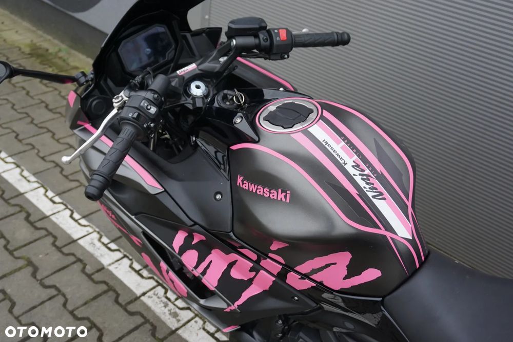 Kawasaki Ninja - 19