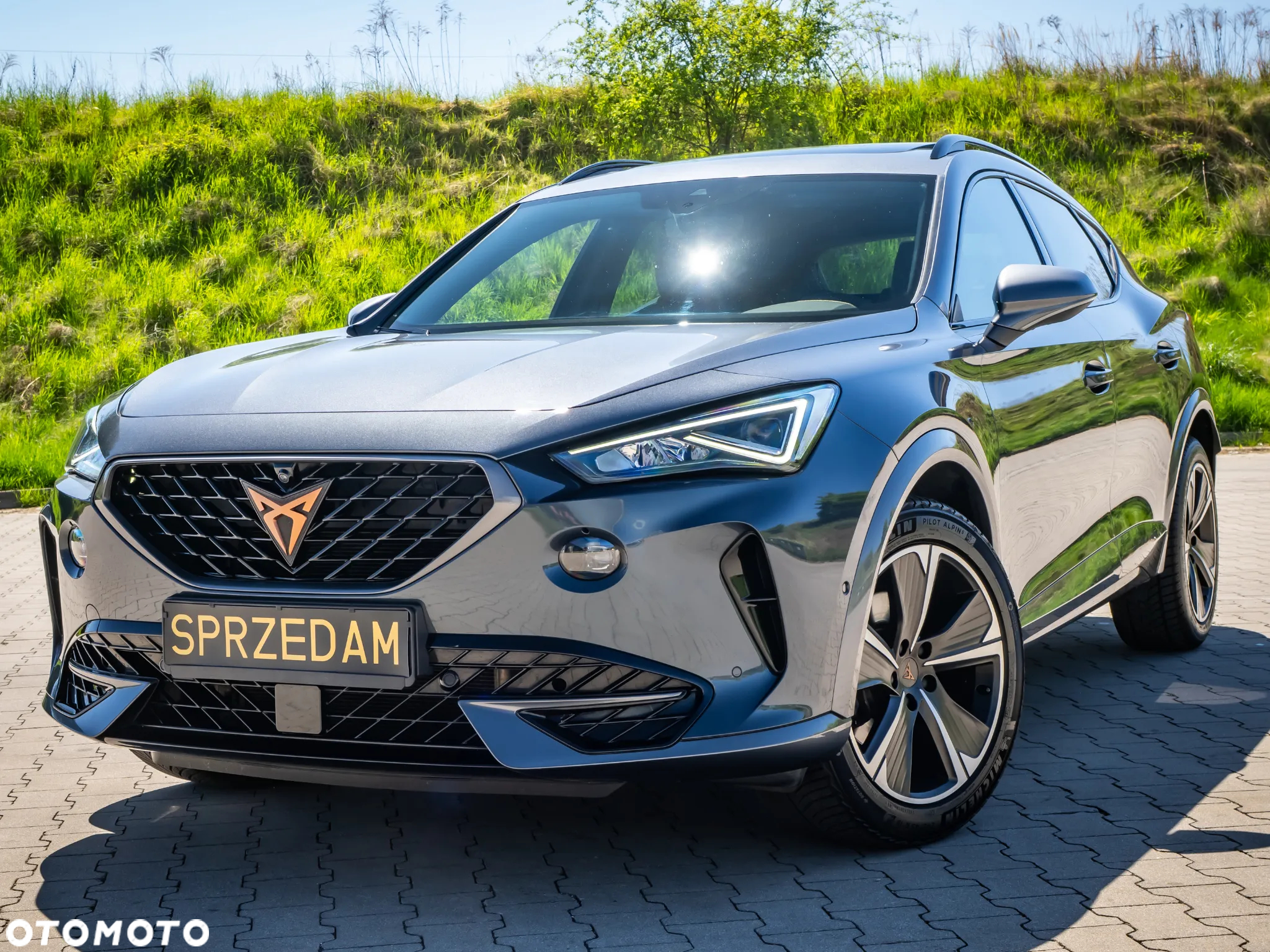 Cupra Formentor 1.5 TSI DSG - 10