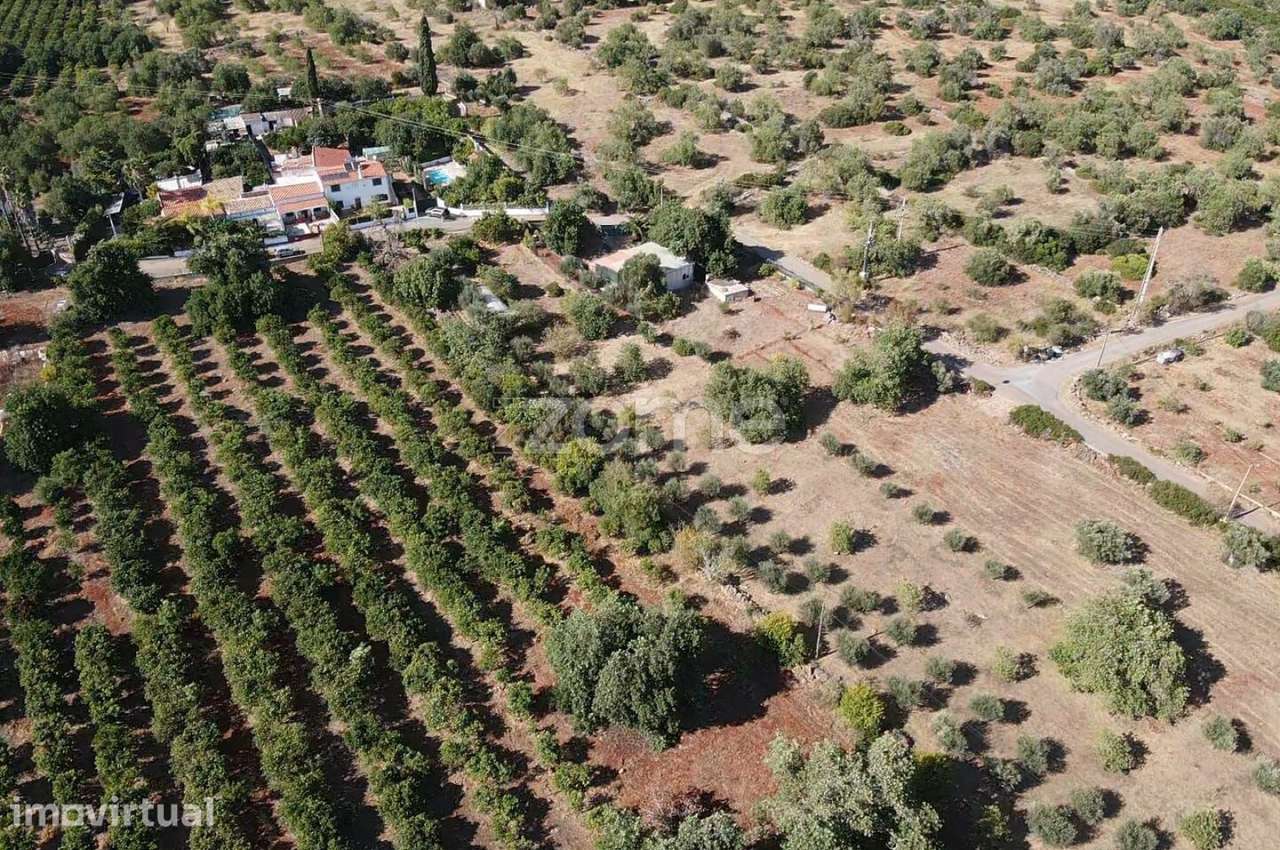 Terreno Rústico em Carrasqueiro, Paderne com 4.320m2 - Grande imagem: 5/18