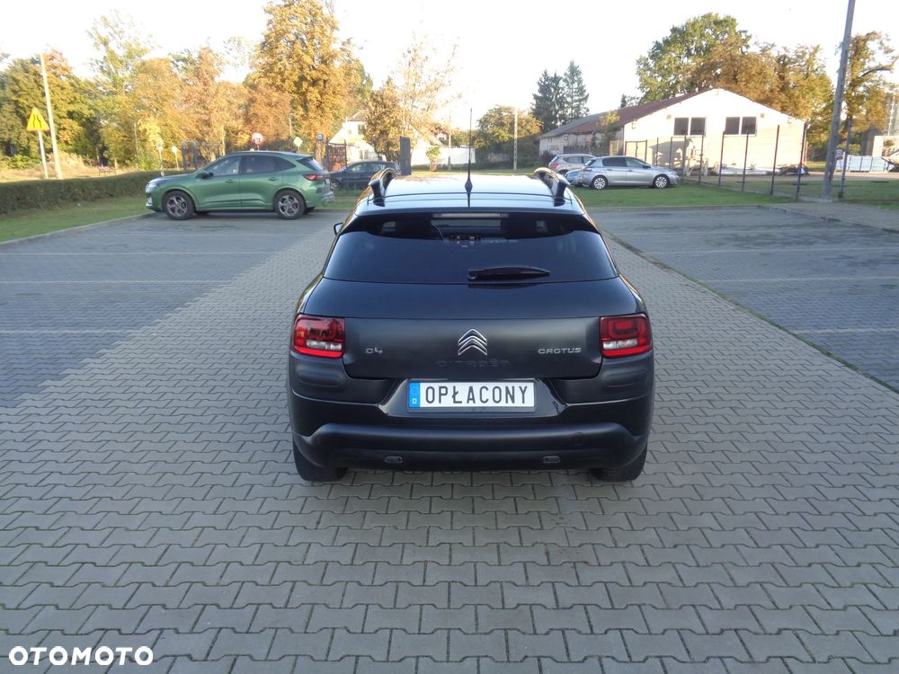 Citroën C4 Cactus PureTech 82 Shine Edition - 17