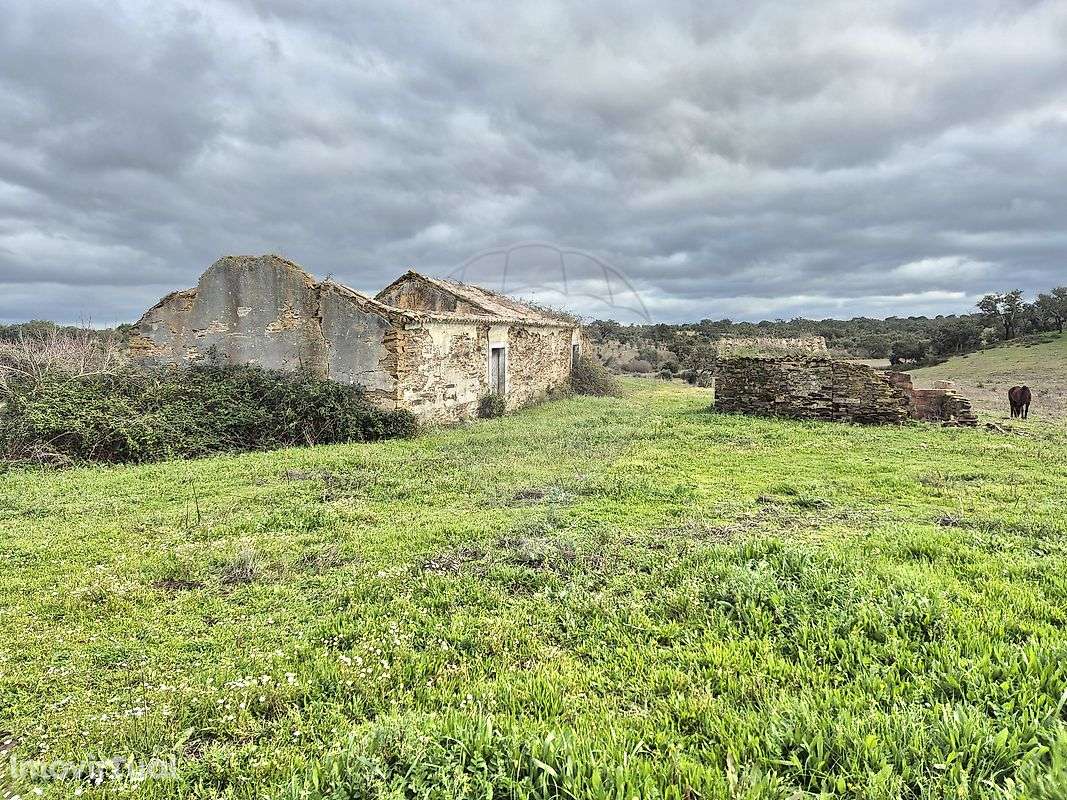 Quinta T0 para venda - Grande imagem: 5/24