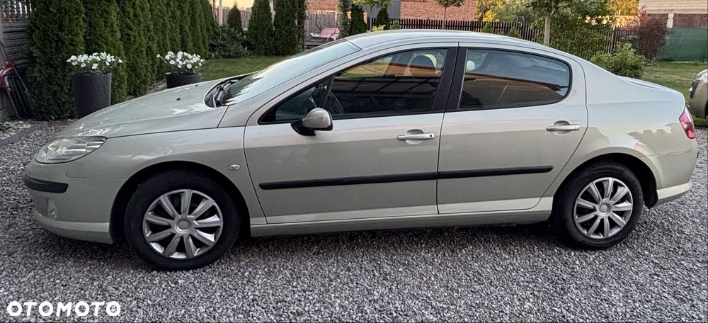 Peugeot 407 - 1
