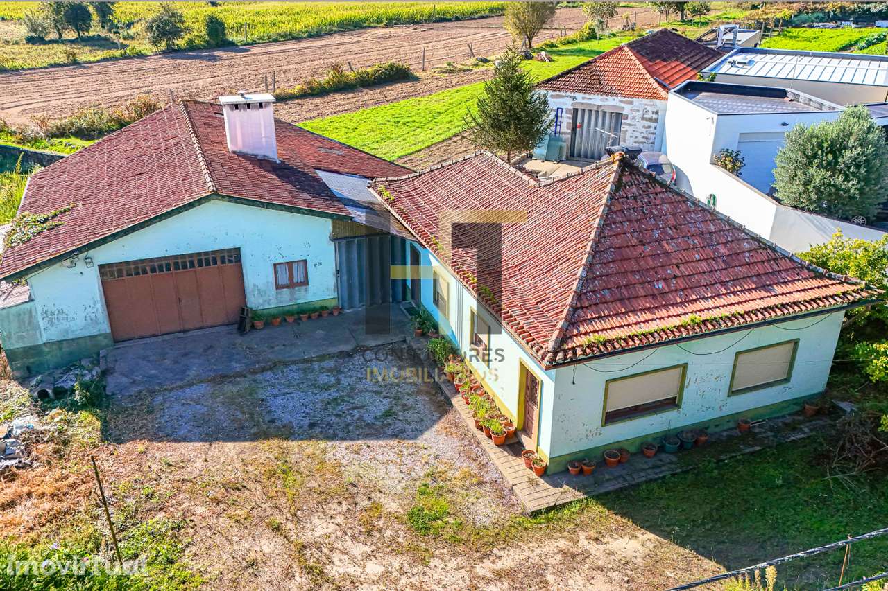 Moradia Térrea T3 com Terreno de 1500m² para Renovar – São Pedro - Grande imagem: 3/16