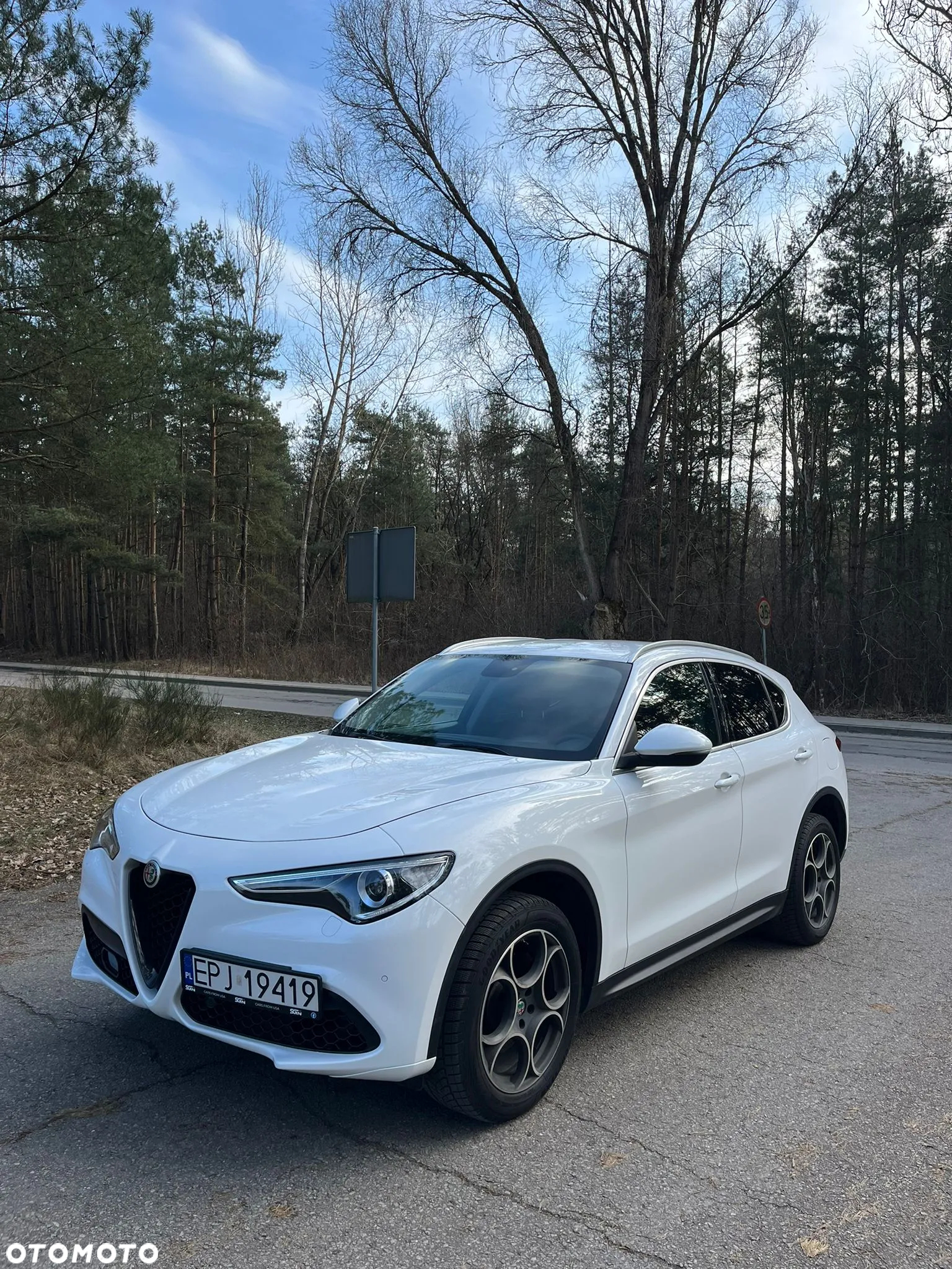 Alfa Romeo Stelvio 2.0 Turbo Executive Q4 - 2
