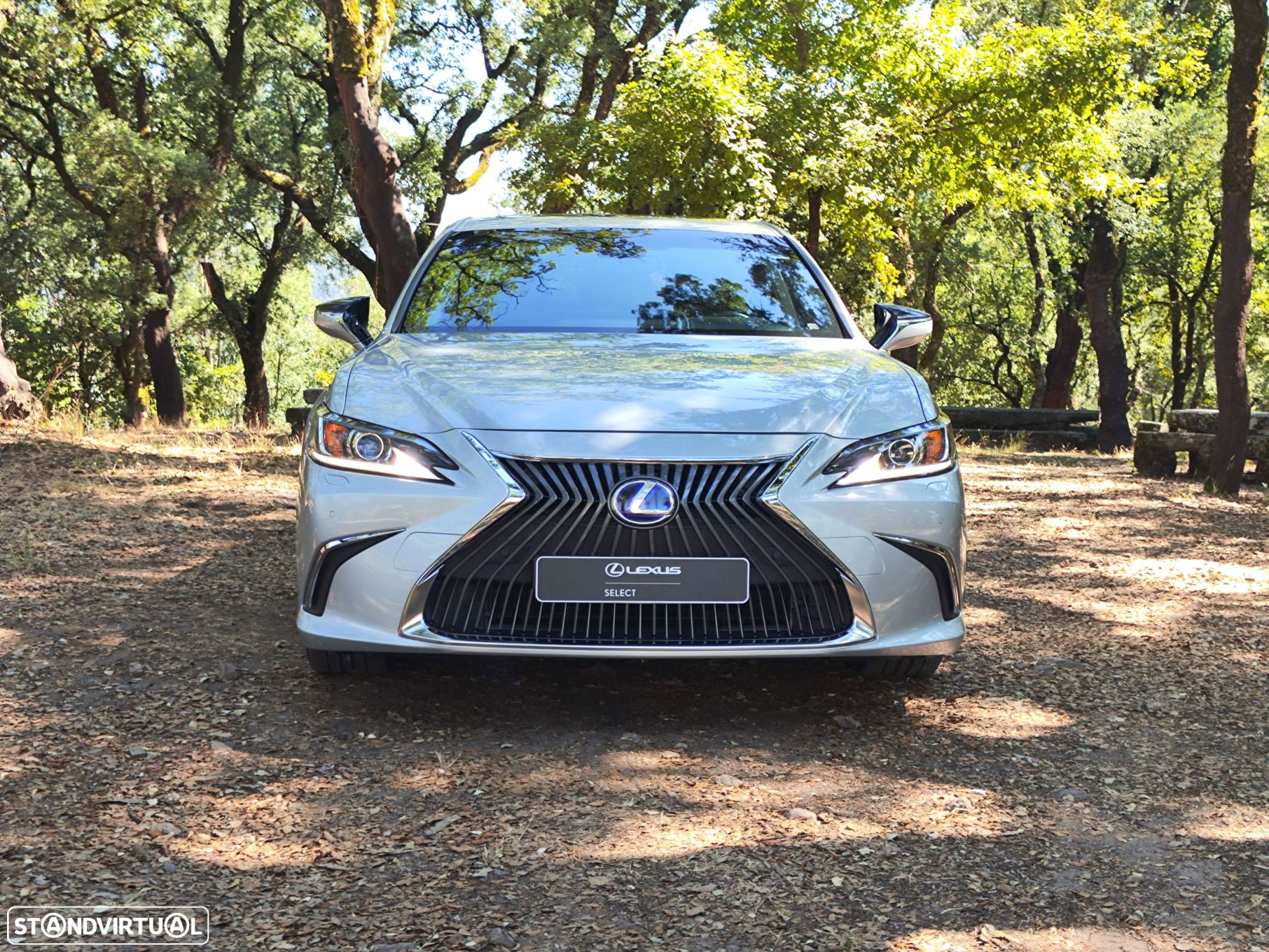 Lexus ES 300h Executive+ - 2