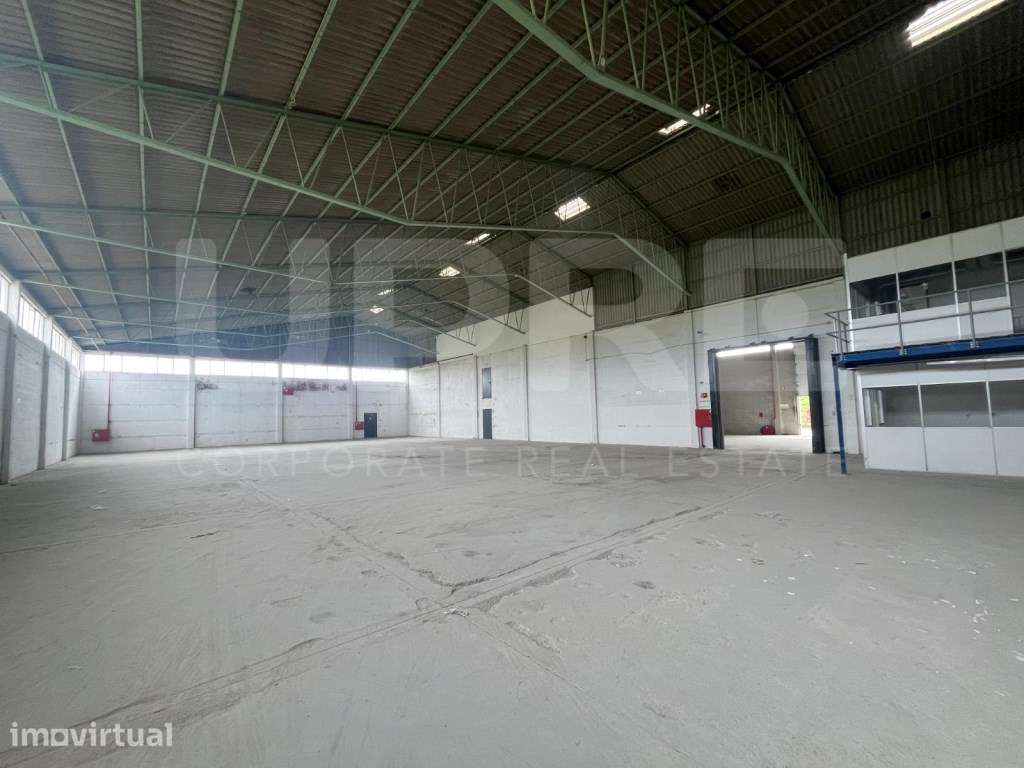 ARRENDA | Armazém | Maia (Folgosa) - Grande imagem: 5/16
