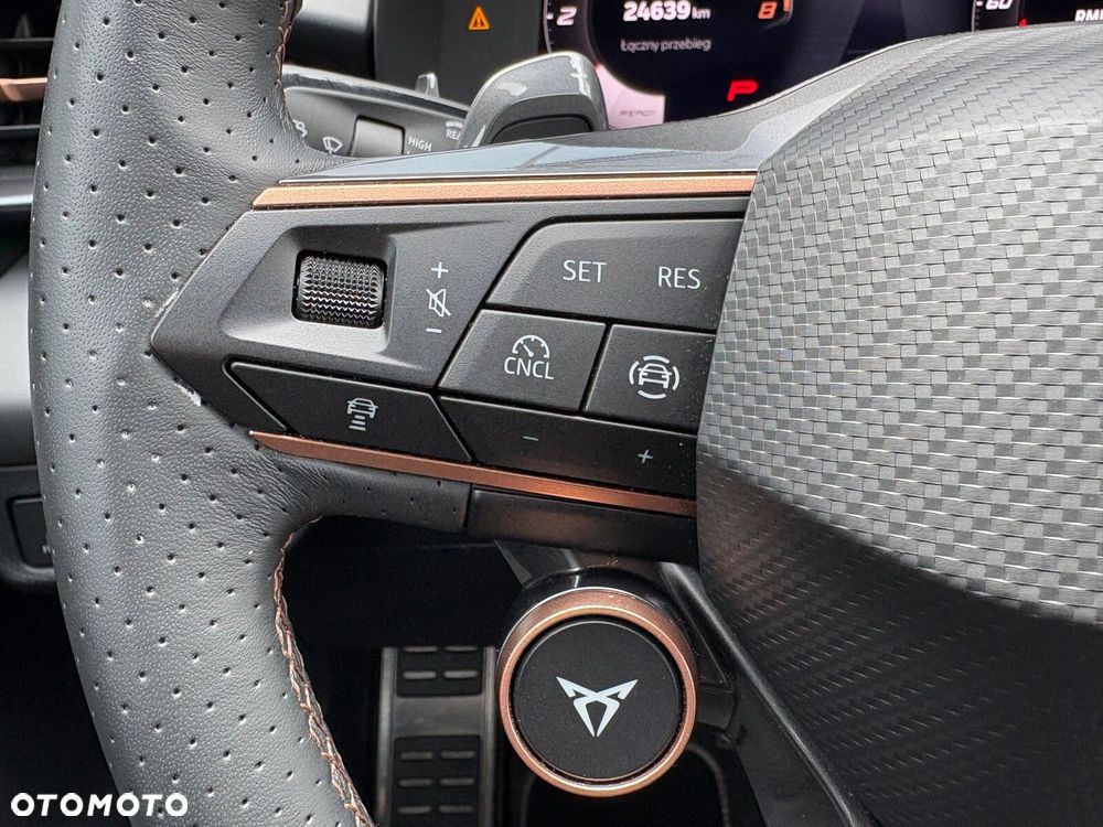 Cupra Terramar 2.0 TSI 4Drive DSG - 24