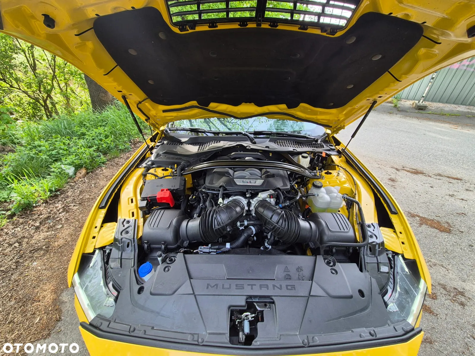 Ford Mustang Fastback 5.0 Ti-VCT V8 GT - 2