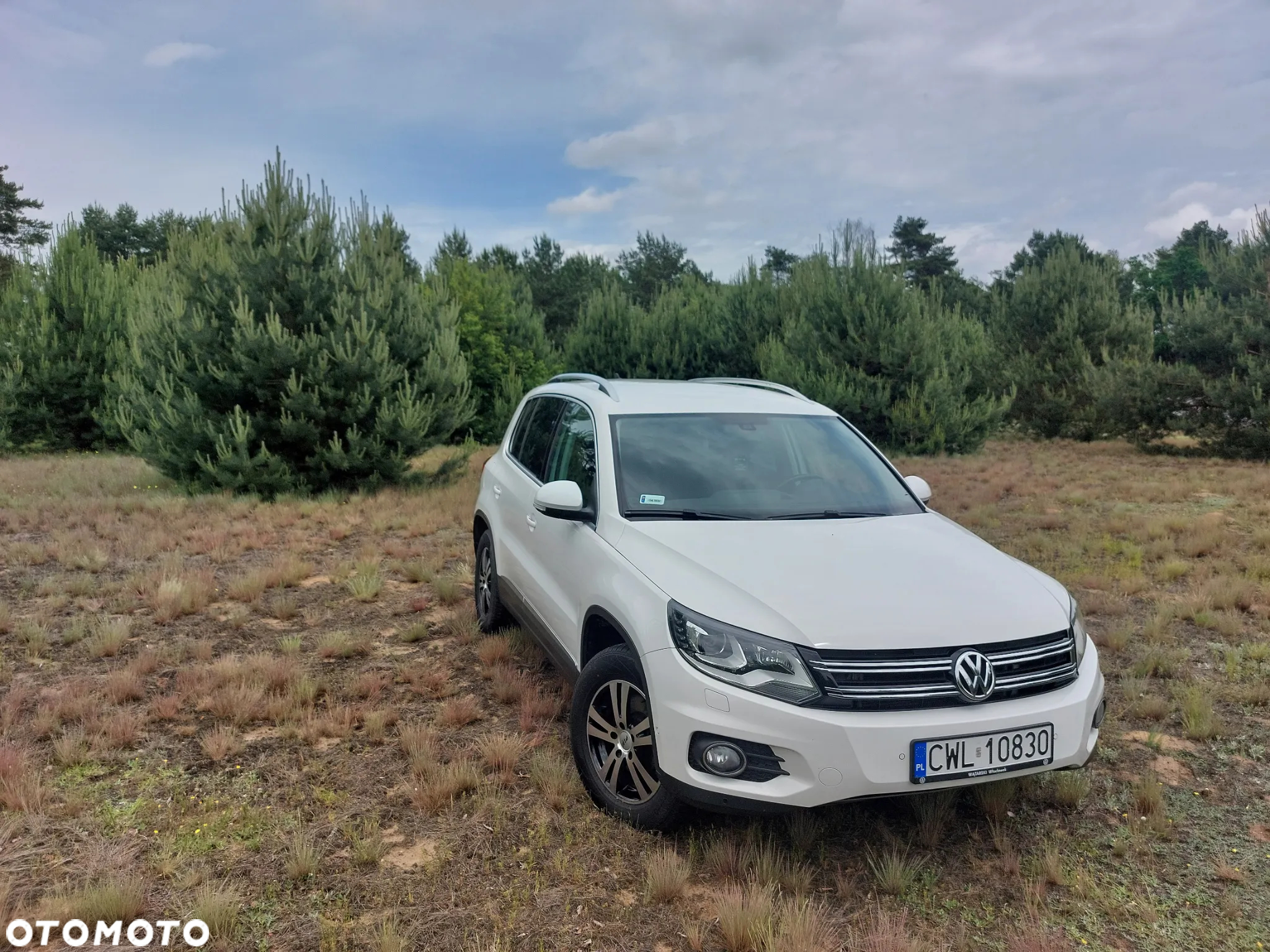 Volkswagen Tiguan 2.0 TDI 4Mot Sport&Style DSG - 2