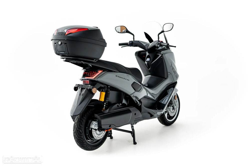 Efun Tiger - 17