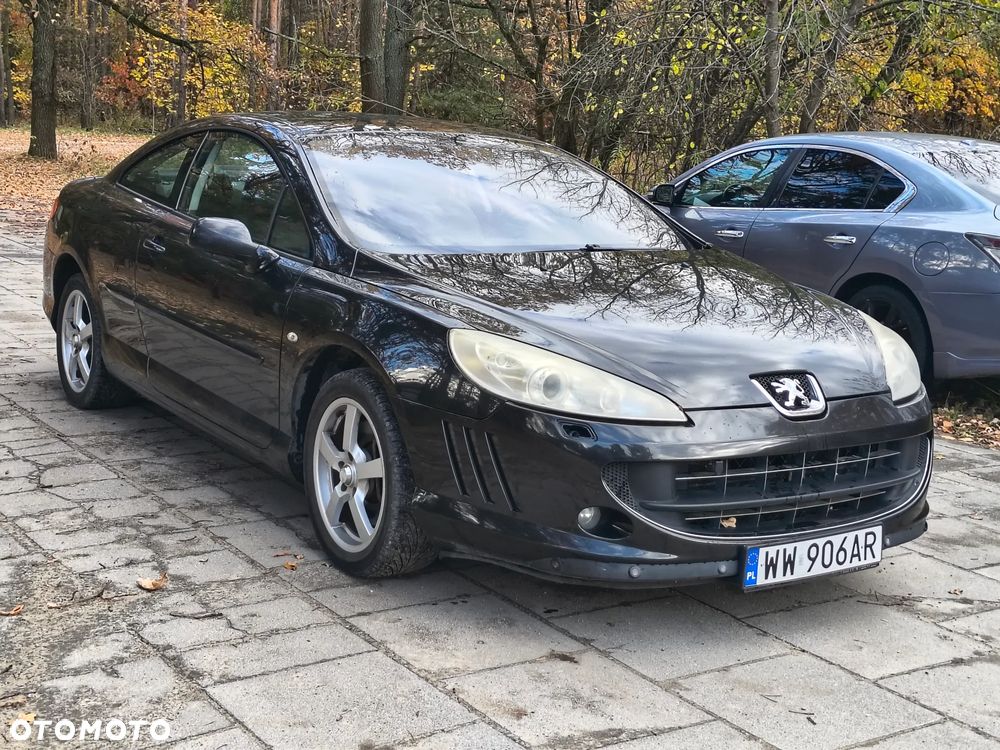 Peugeot 407 165 Platinum - 9