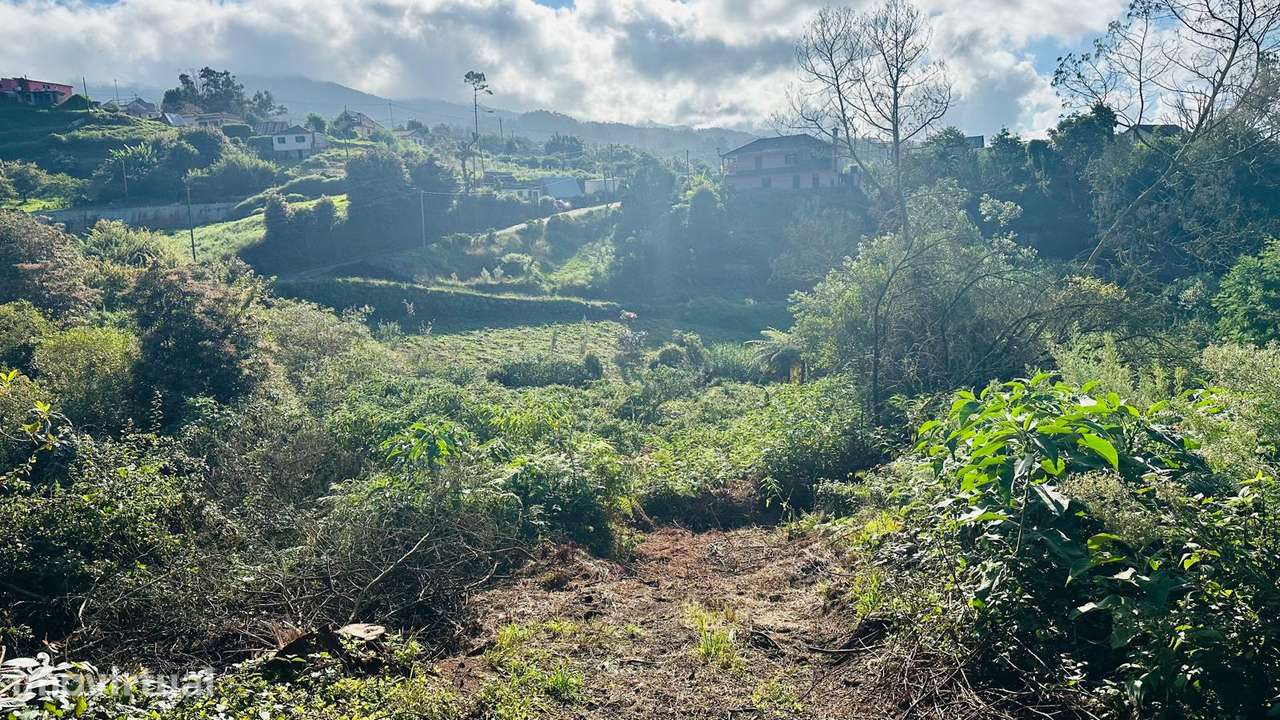 Terreno para construção e agrícola - Grande imagem: 5/17