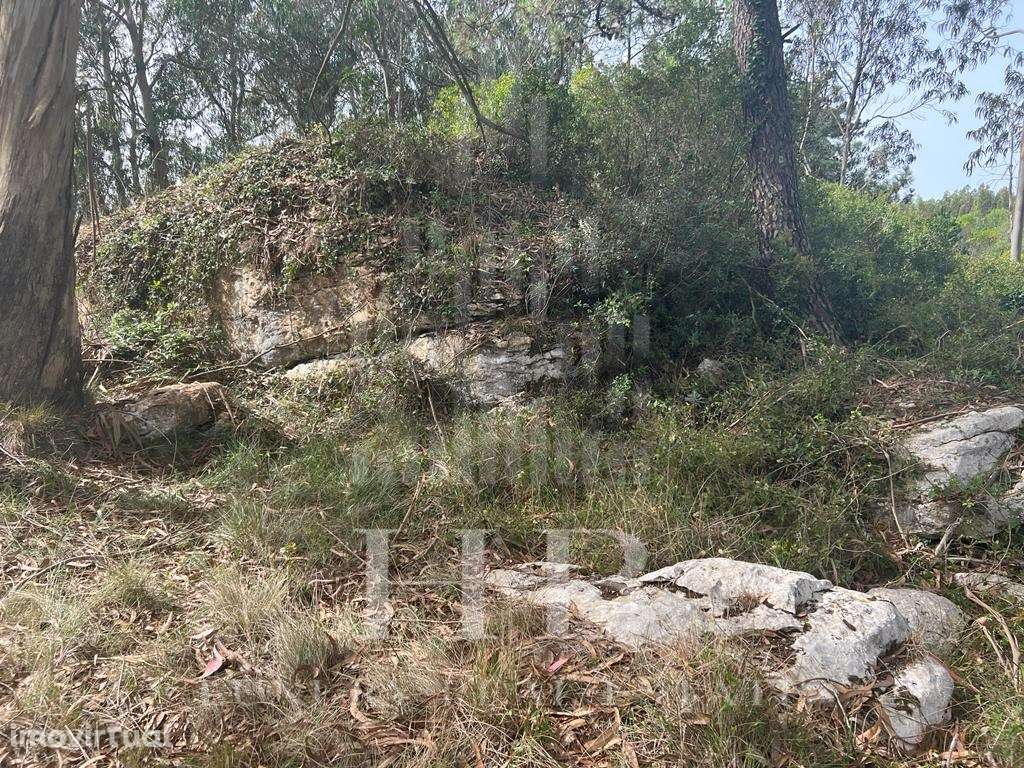 Terreno | Reguengo Grande | Lourinhã - Grande imagem: 4/17