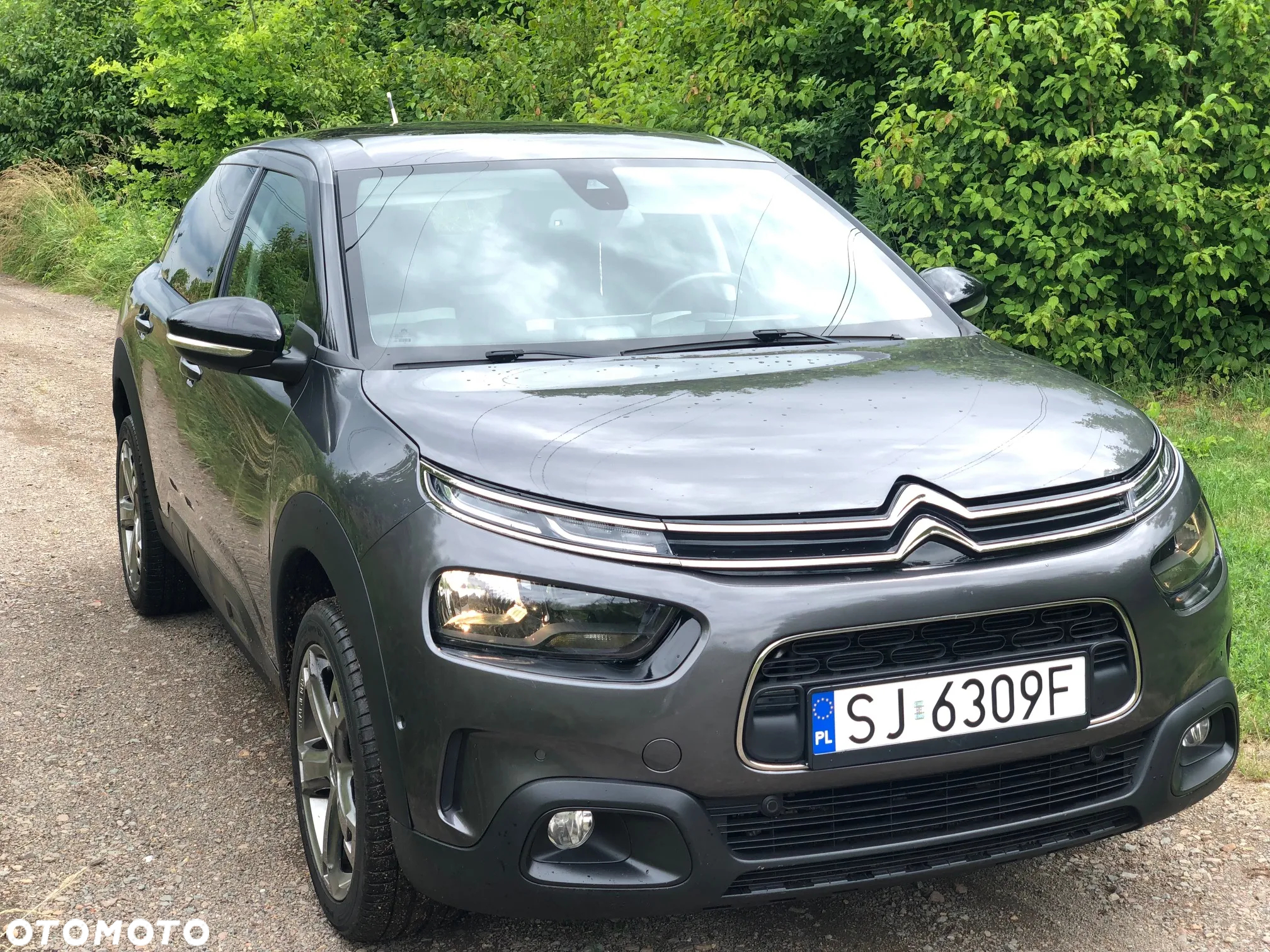 Citroën C4 Cactus BlueHDi 100 Stop&Start Feel Edition - 10