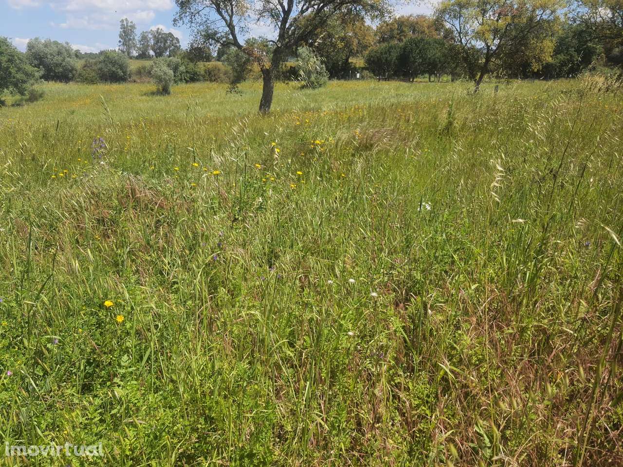 Quintinha perto de Tomar, com Ruína, poços, floresta - Grande imagem: 2/23