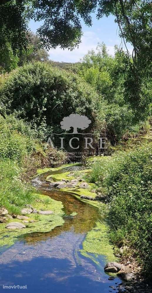 Herdade na Terrugem com 118 hectares - Grande imagem: 3/38