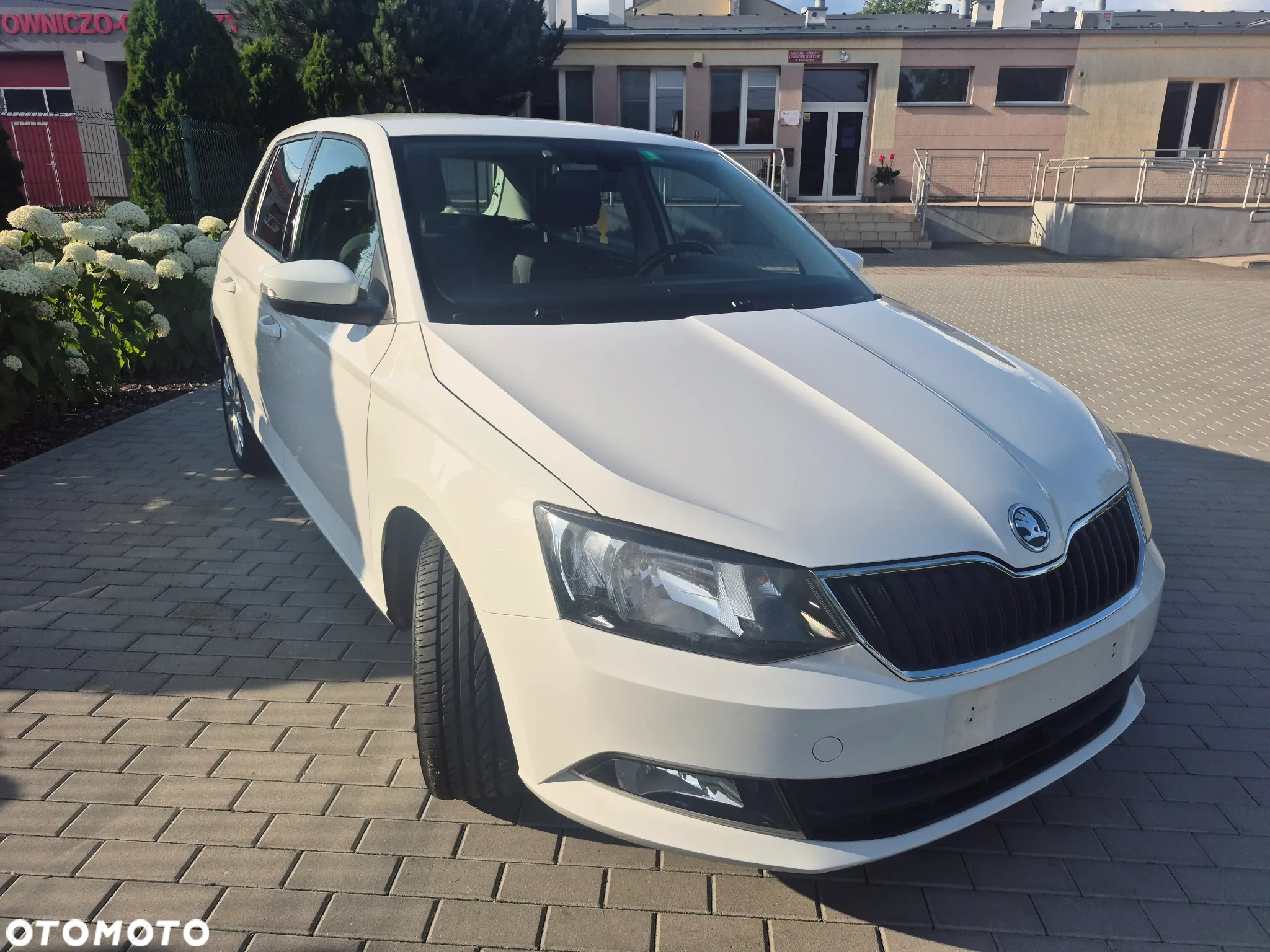 Skoda Fabia 1.4 TDI Edition DSG - 8