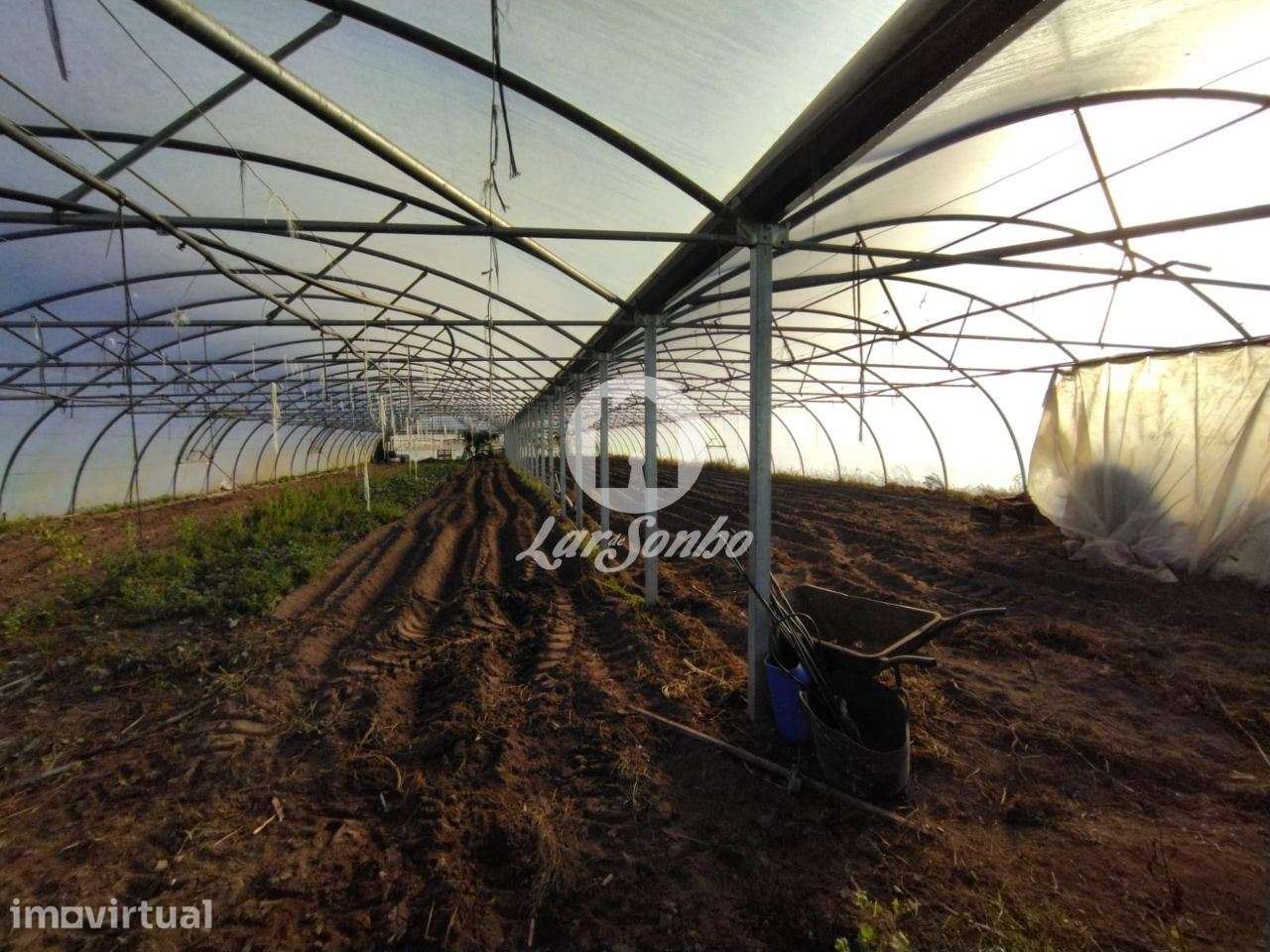 Terreno agrícola em Navais com 1.900m2, na Póvoa de Varzim - Grande imagem: 3/5