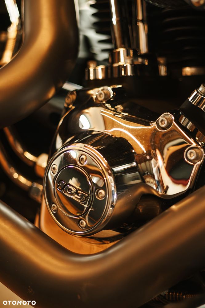 Harley-Davidson Softail Blackline - 26