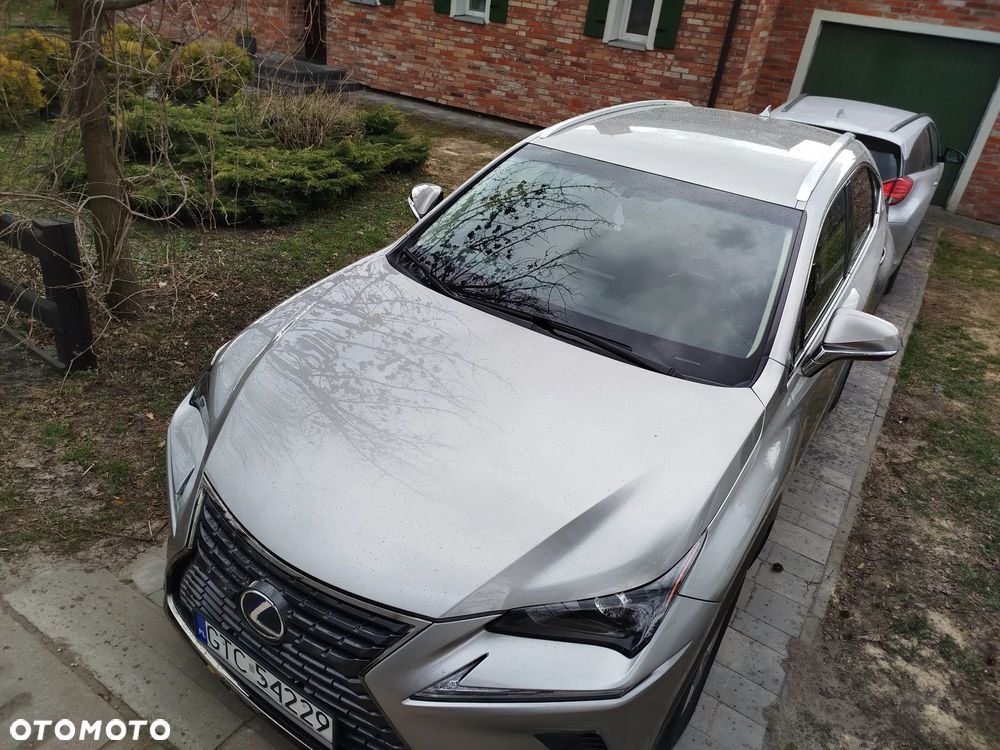 Lexus NX 300h Elegance 2WD - 2