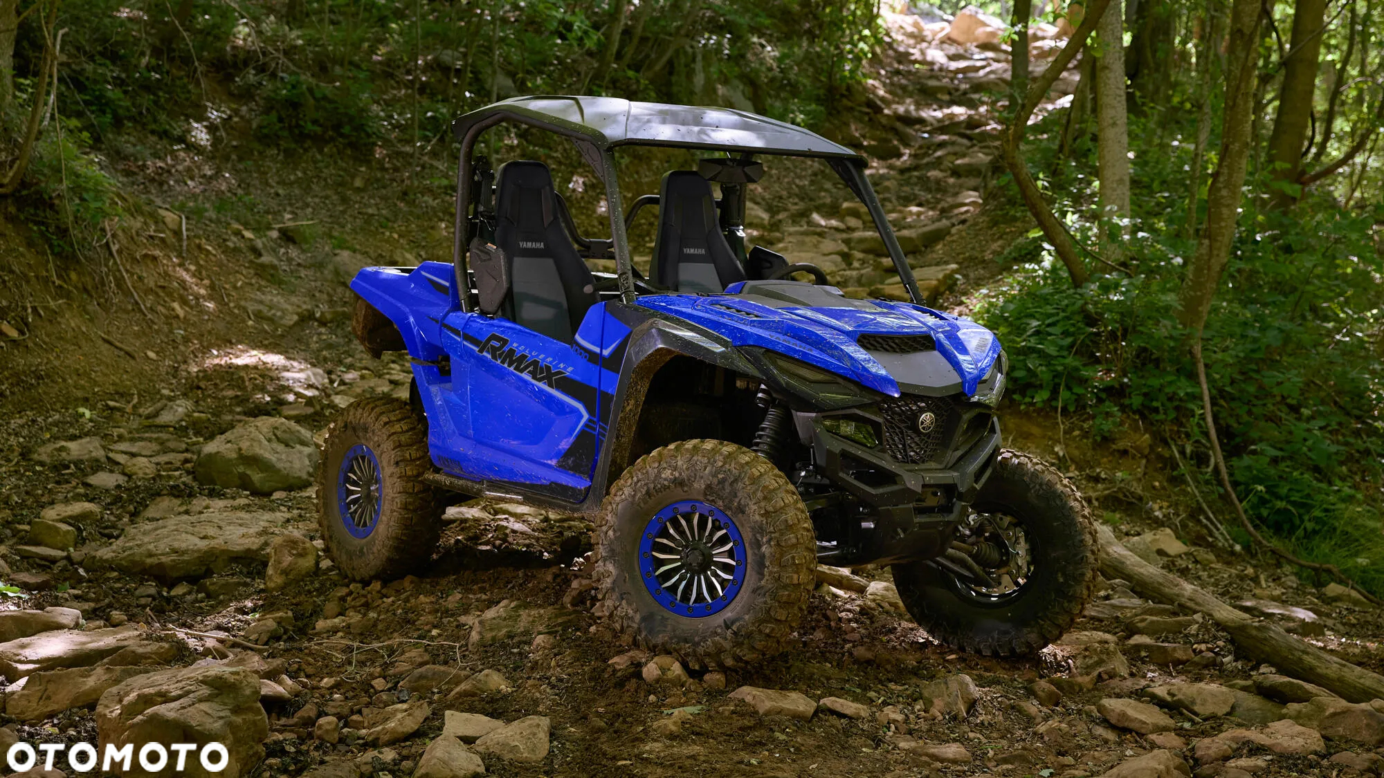 Yamaha Wolverine - 8