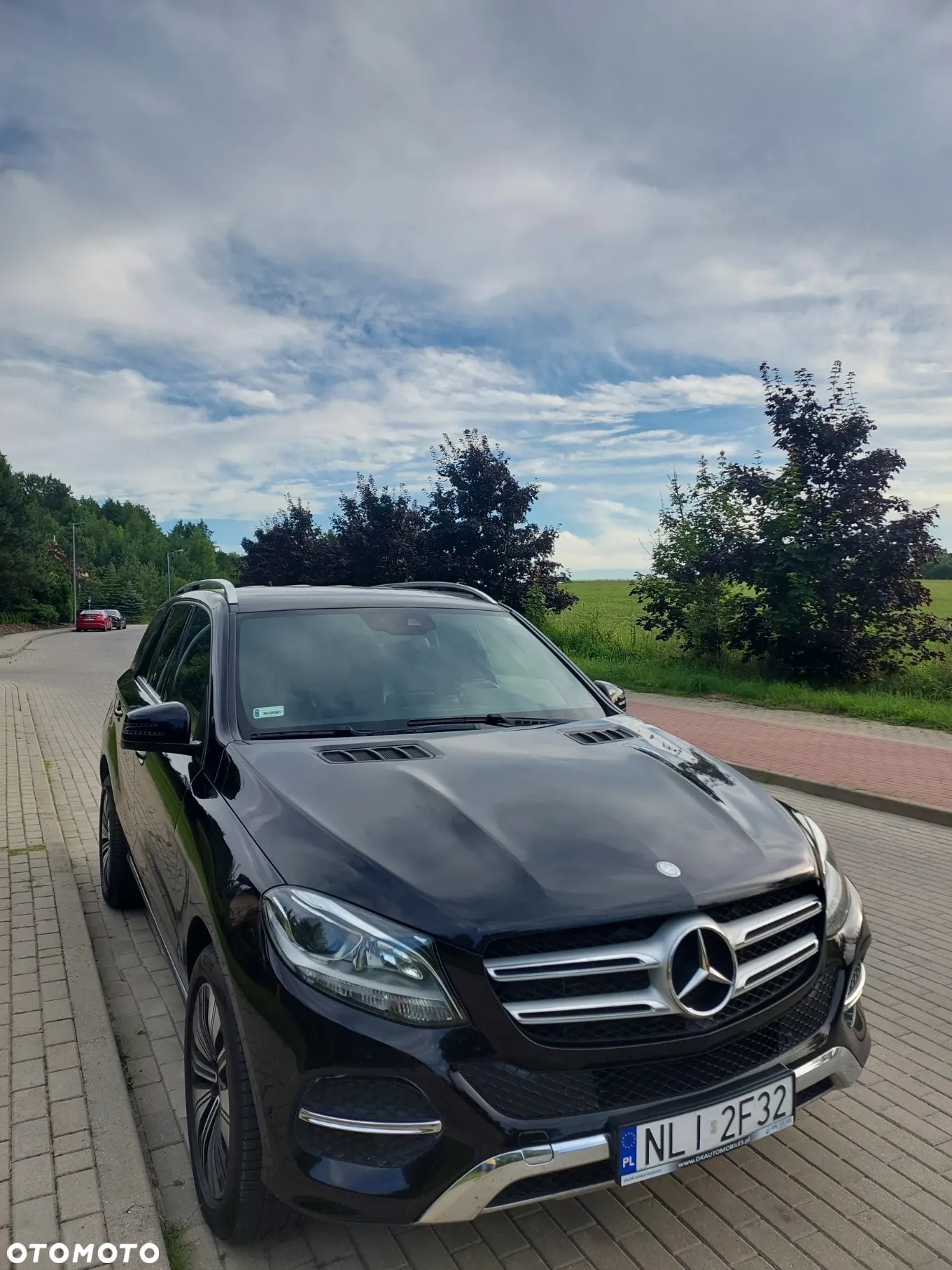Mercedes-Benz GLE 250 d 4Matic 9G-TRONIC - 2
