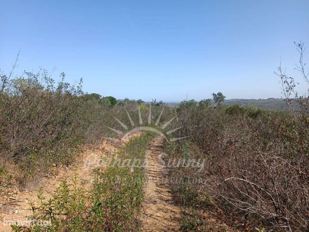 Terreno 14ha Santa Margarida da Serra - Grande imagem: 4/15