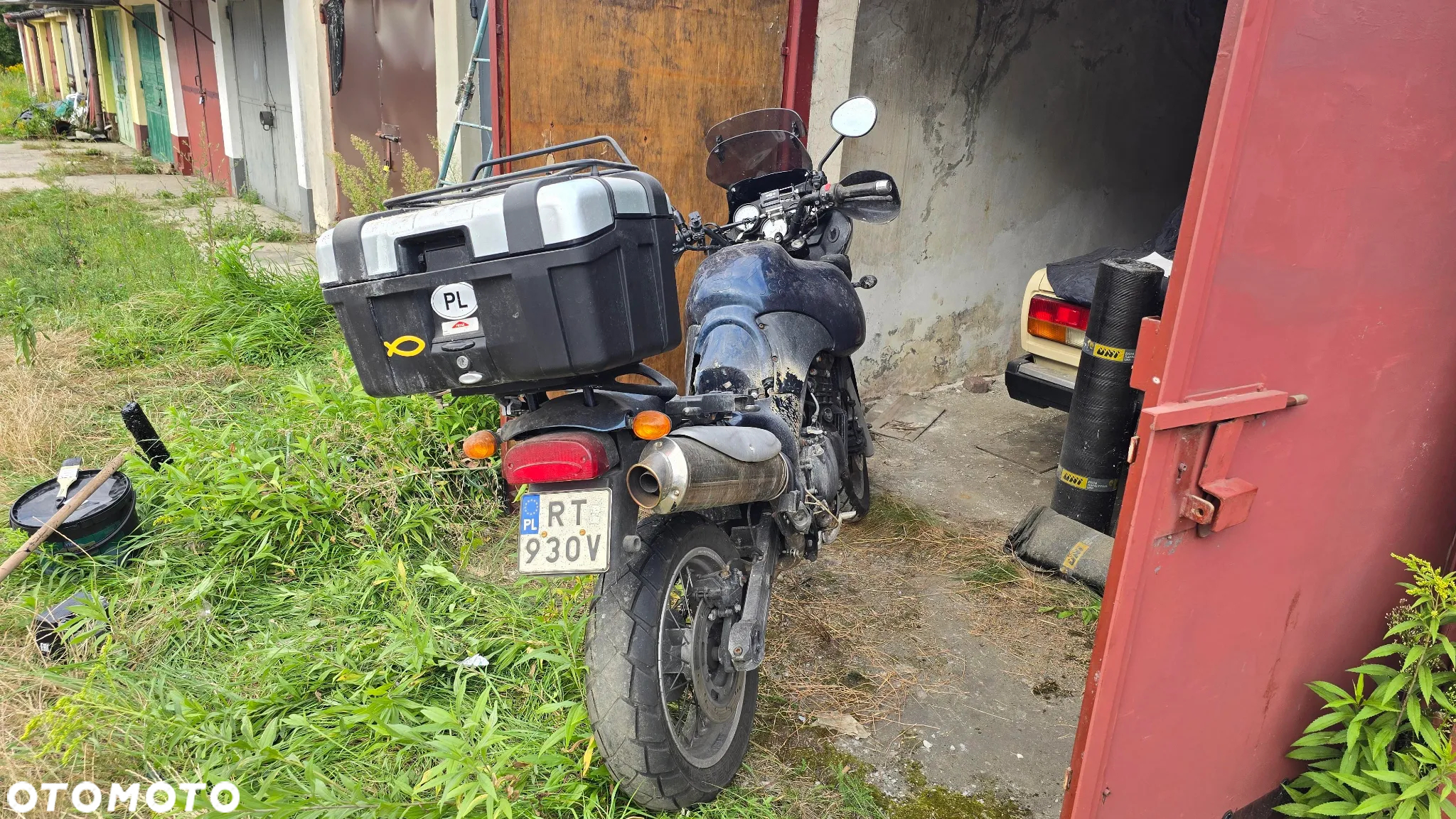 Triumph Tiger - 6