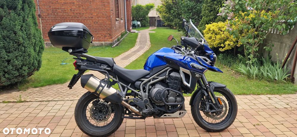 Triumph Tiger - 1