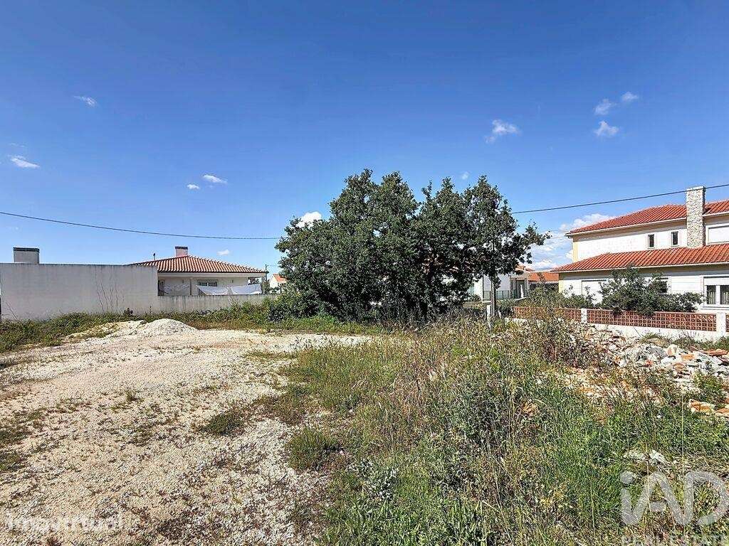 Terreno para construção em Alqueidão da Serra - Grande imagem: 3/18