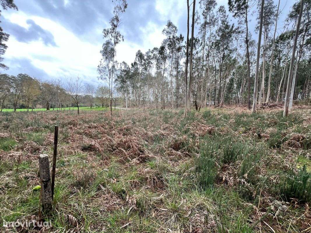 Terreno  para venda - Grande imagem: 5/12