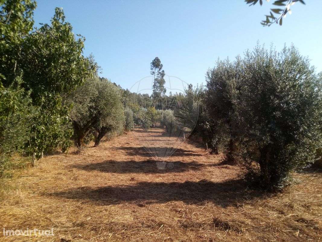 Terreno  para venda - Grande imagem: 2/3