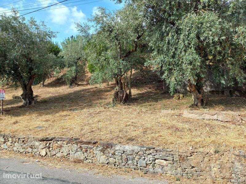 TERRENO para construção - Grande imagem: 4/12