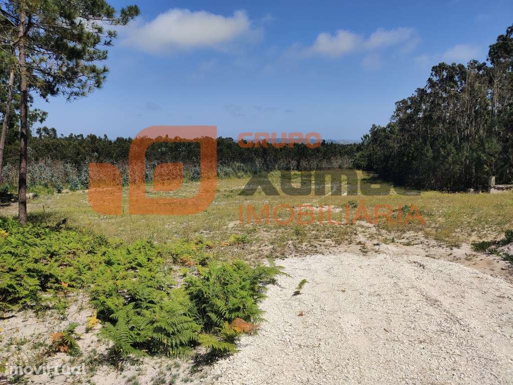 Terreno rústico para uso agrícola ou similar, ideal também para cas... - Grande imagem: 4/7